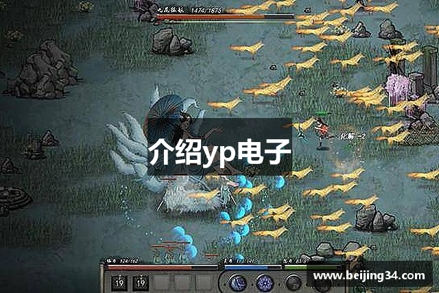 介绍yp电子